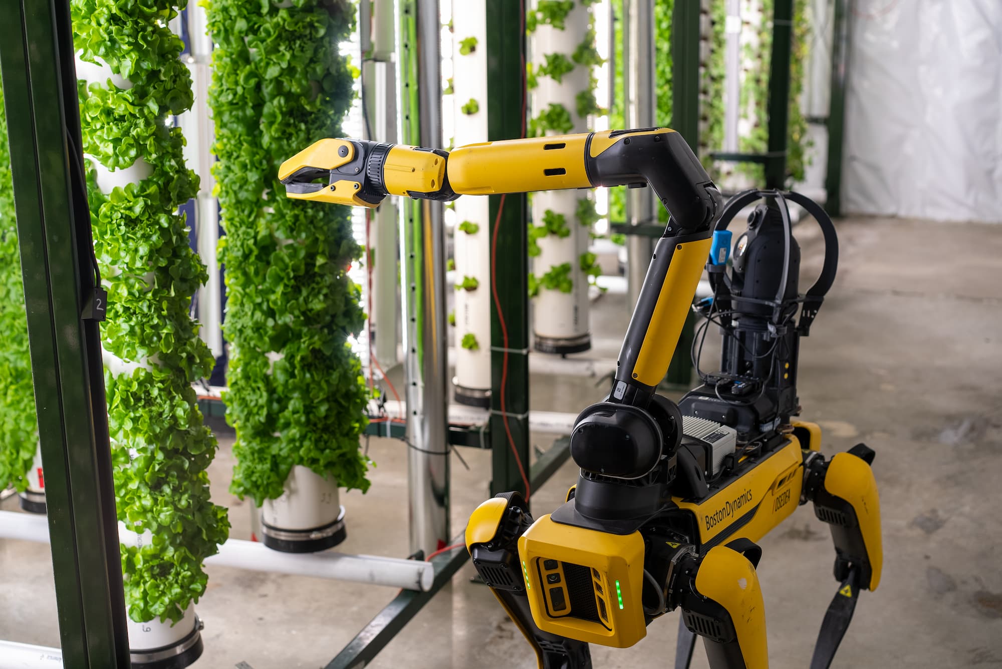 Transforming Vertical Farming with the Spot Robot at Interius Farms